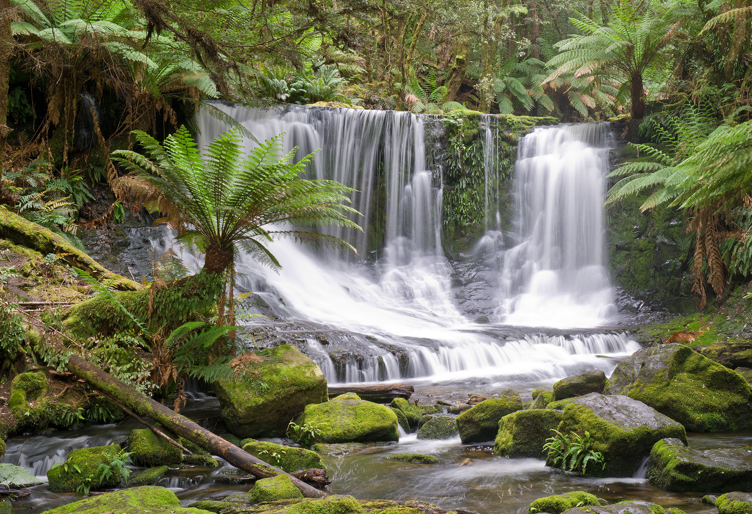 Tranquil water falls Tasmania