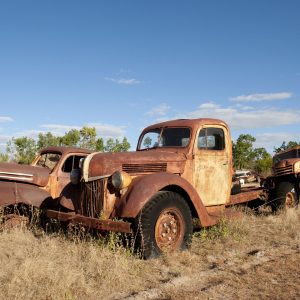 Old Ford Trucks forgotten.