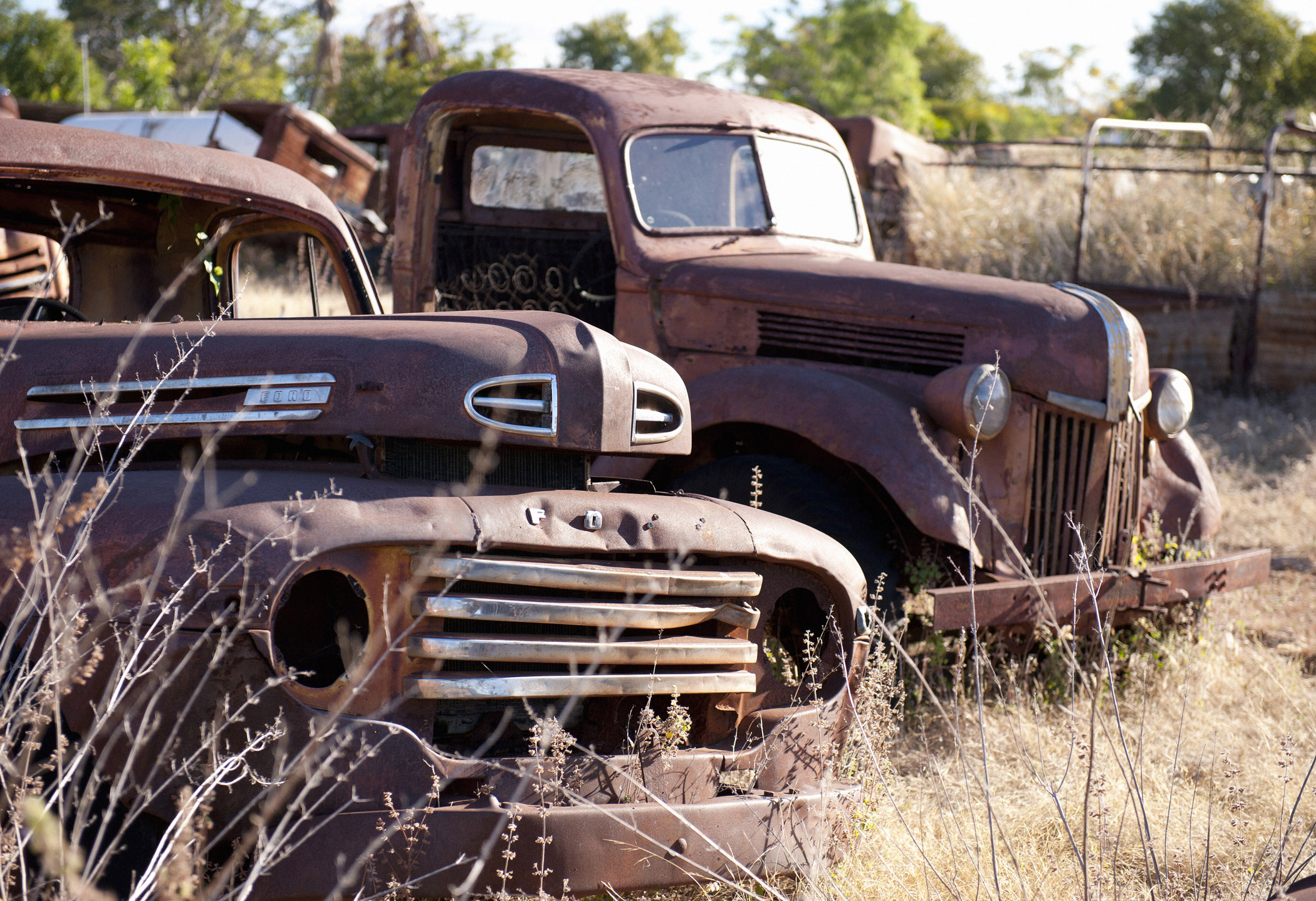 Old Ford Trucks rusting