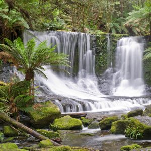 Tranquil water falls Tasmania